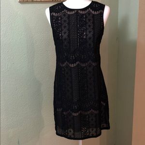 Gorgeous Adrianna Papell Lace Dress, size 8P